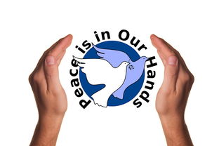 米兰体育下载-决赛教练战术对决吸引全球关注,比赛中教练挑战是什么意思 第2张